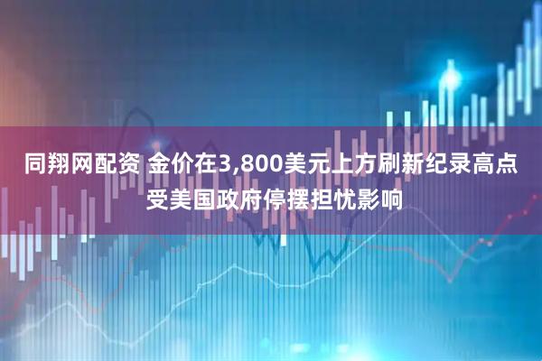 同翔网配资 金价在3,800美元上方刷新纪录高点 受美国政府停摆担忧影响